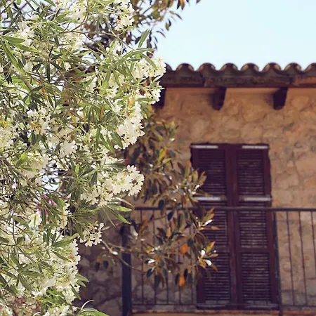 Ses Eres Holiday home Arta