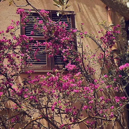 Ses Eres Holiday home